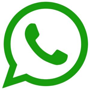 whatsapp dinkes Jember